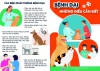 Bệnh dại - Những điều cần biết