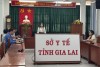 Bà Nguyễn Thị Tuyết Nhung, Phó giám đốc Sở Y tế phát biểu tại cuộc họp.