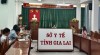 Toàn cảnh hội nghị tại điểm cầu Sở Y tế tỉnh Gia Lai ( Ảnh: Bích Thảo)