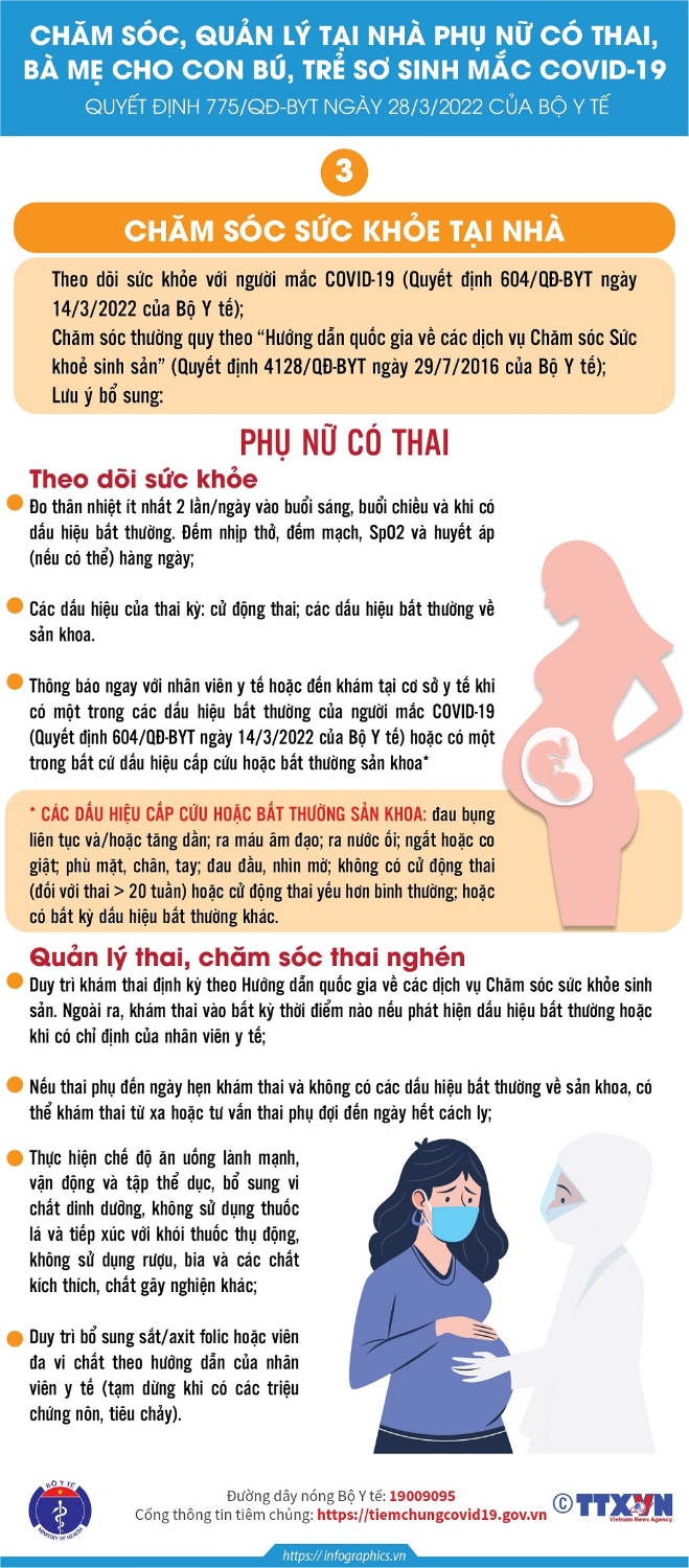 H33 THAI