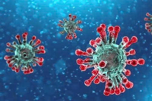 Ảnh minh họa VIRUT EBOLA